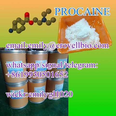 MANUFACTURER Procaine base / cas 59-46-1 / procaine powder / procaine supplier / factory