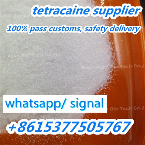 Tetracaine Powder CAS 94-24-6 China top supplier