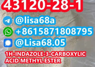 CAS 43120-28-1 1H-indazole-3-carboxylic acid methyl ester C9H8N2O2