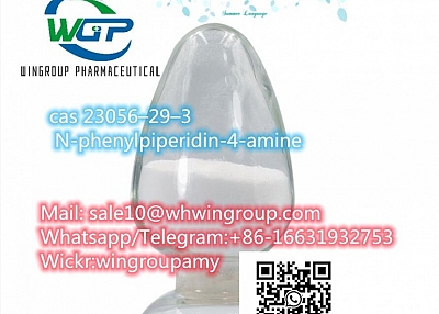 cas23056–29–3  N-phenylpiperidin-4-amine with good price of pmk powder 