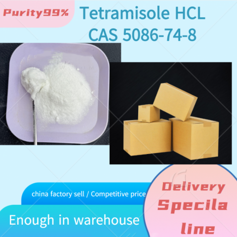 N-Methylbenzamide chinese supplier sell with CAS 613-93-4 (whatsapp +8619930501653)