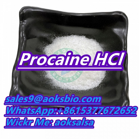 Buy procaine hcl powder cas 51-05-8 procaine hcl 