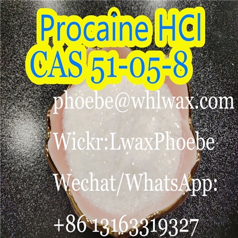 100% Safety Delivery Procaine hcl Powder CAS 51-05-8 phoebe@whlwax.com