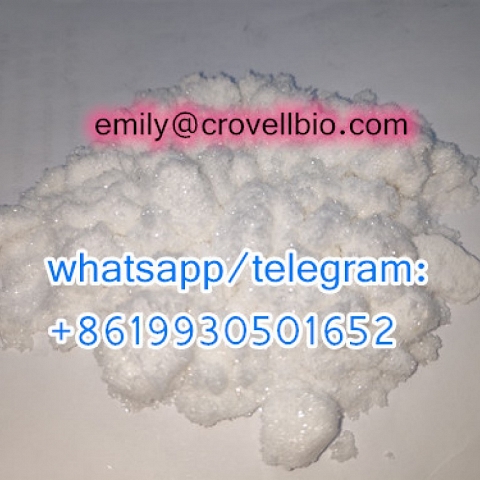 China Factory CAS 613-93-4 n-methylbenzamide whatsapp:+8619930501652