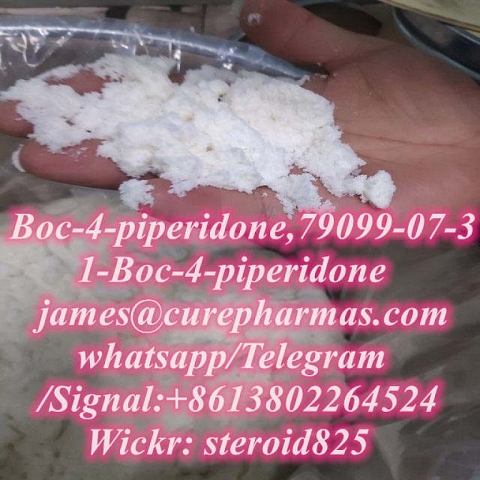 Boc-4-piperidone factory supplier 1-Boc-4-piperidone pharmaceutical intermediate 79099-07-3 best pri