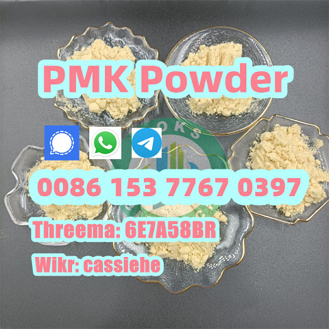 Door to Door cas 28578-16-7 pmk powder PMK