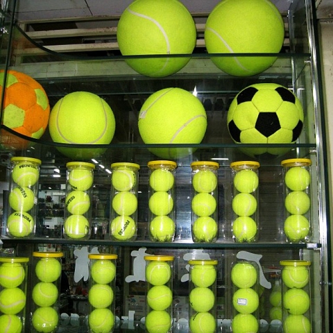 wilson tennis balls