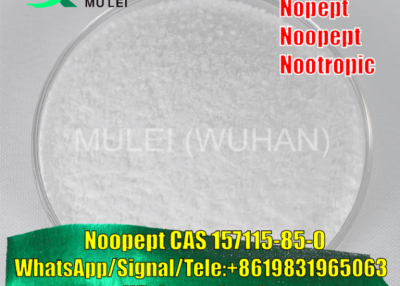 Raw Material Noopept Powder CAS 157115-85-0 Nootropics Supplement