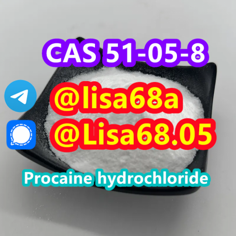 CAS 51-05-8 Procaine hydrochloride C13H21ClN2O2