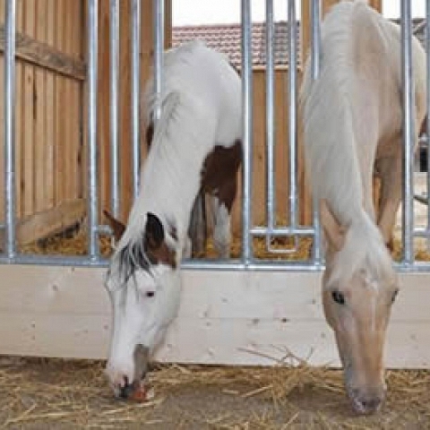 Horse Panel Feeding Rack