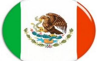 Mexico, BMW and Hyundai (By Sylodium, international trade directory)