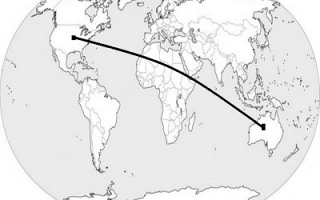 澳大利亚和跨太平洋国家 (Sylodium, 进出口业务)