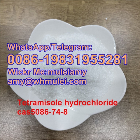 Tetramisole,Tetramisole powder tetramisole hcl