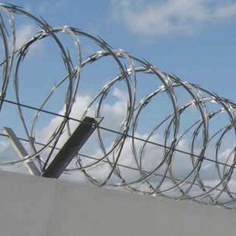 Welded razor wire fence