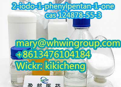 Safe Shipping 2-iodo-1-phenylpentan-1-one cas 124878-55-3 +86-13476104184