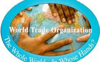 WTO trade facilitation agreement (By Sylodium, international trade directory)