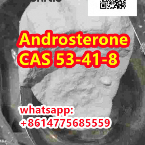  Androsterone:CAS 53-41-8