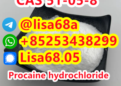 CAS 51-05-8 Procaine hydrochloride C13H21ClN2O2