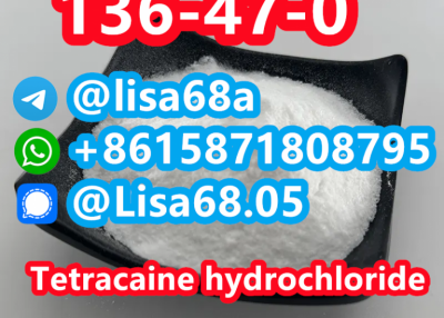 CAS 136-47-0 Tetracaine hydrochloride C15H25ClN2O2