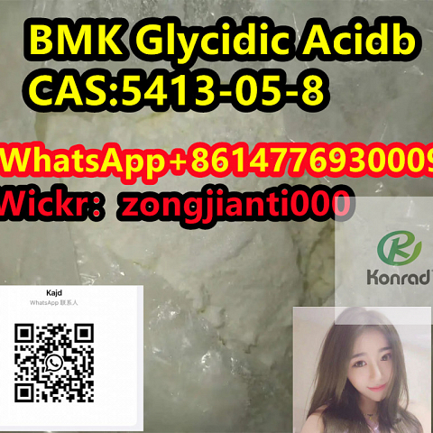   BMK Glycidic AcidbCAS:5413-05-8