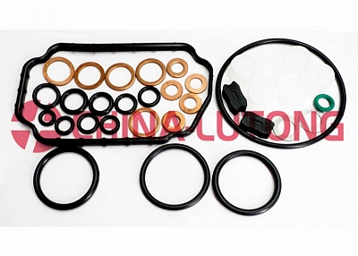 Diesel Fuel Engine Pump Parts Overhaul Kit 1 467 010 059 Rebuild Kits And Repair Kit For Pump