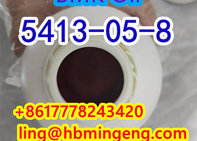 CAS 5413-05-8 BMK Oil CAS 5449-12-7 BMK Powder CAS20320-59-6