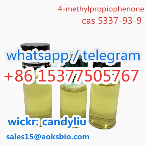 high purity 4-Methylpropiophenone CAS 5337-93-9 with the best price CAS 5337-93-9