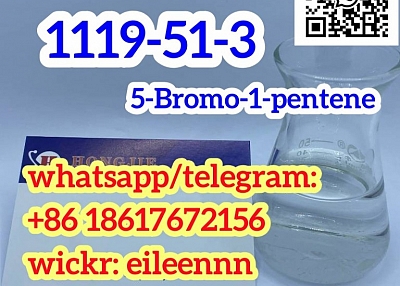 1119-51-3 5-Bromo-1-pentene 