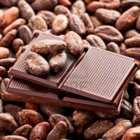  we export cocoa for sale to all countries