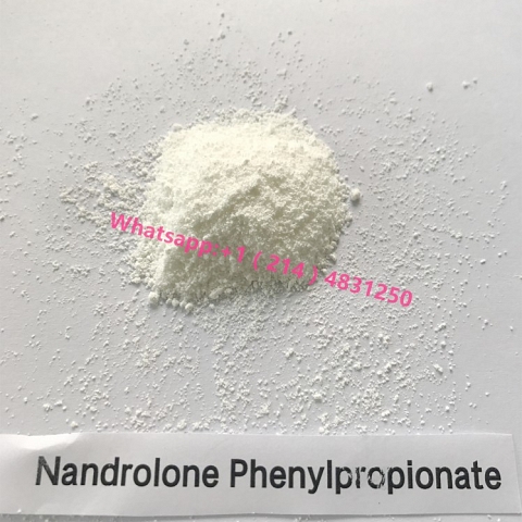 Nandrolone phenylpropionate NPP raws 