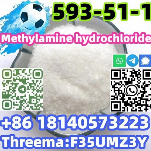 Buy Hot sale CAS 593-51-1 Methylamine hydrochloride with Safe Delivery