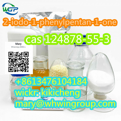 Safe Shipping 2-iodo-1-phenylpentan-1-one cas 124878-55-3 +86-13476104184