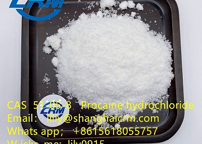 Factory Supply High Quality Procaine Hydrochloride / Procaine HCl CAS 51-05-8