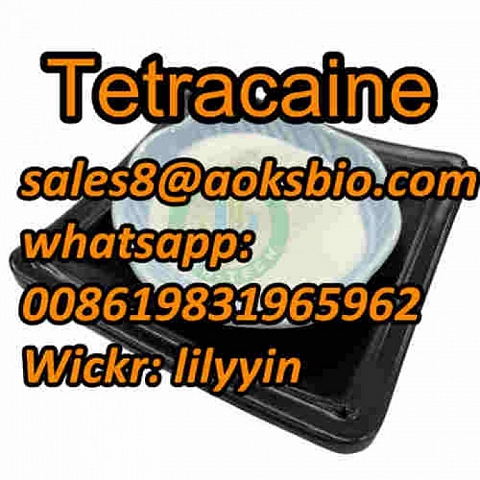 UK Netherland USA Canada 94-24-6, tetracaine powder,  94-09-7,137-58-6, 59-46-1