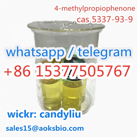 China Factory Supply CAS 5337-93-9 4-Methylpropiophenone Professional Supplier