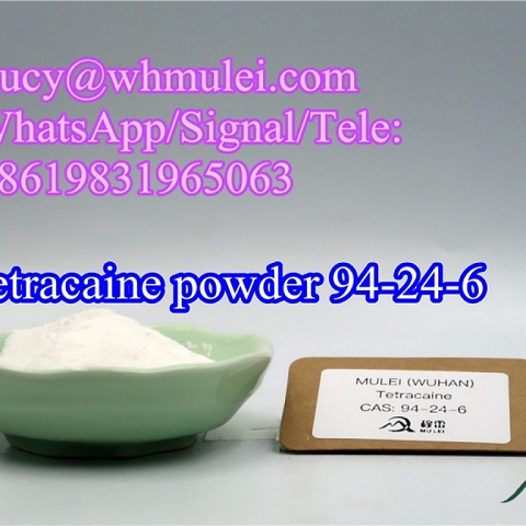 Tetracaine Powder CAS 94-24-6 Local Anesthetic Chemical Raw Material Tetracaine for Pain Killer 