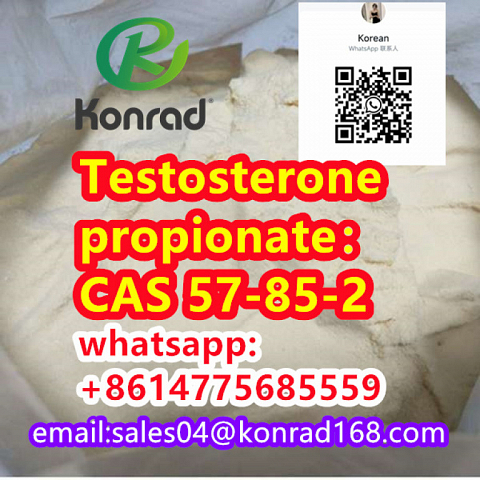  Testosterone propionate：CAS 57-85-2