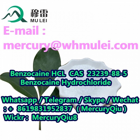 Local Anesthetic Benzocaine HCL White Crystalline Powder cas 23239-88-5