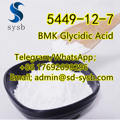  98 CAS:5449-12-7 BMK Glycidic Acid