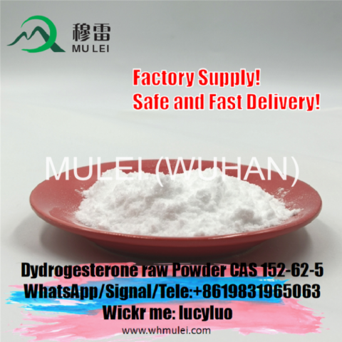 Supply Pharmaceutical Dydrogesterone Powder CAS 152-62-5 Raw Steroid Powder 