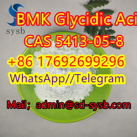 5413-05-8  BMK Glycidic Acid    