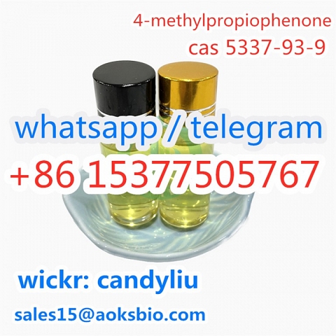 China Factory Supply CAS 5337-93-9 4-Methylpropiophenone Professional Supplier