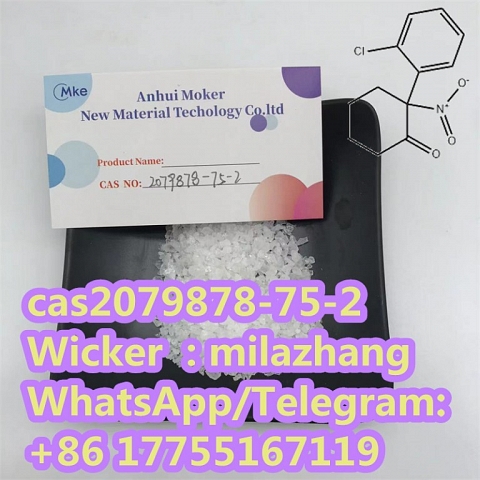 Top Quality 2- (2-Chlorophenyl) -2-Nitrocyclohexanone CAS2079878-75-2 with Factory Price