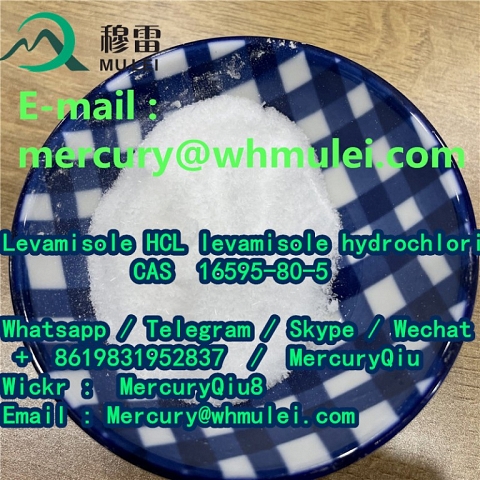 Best price High Quality fast delivery  Levamisole Hydrochloride/ Levamisole HCl CAS 16595-80-5