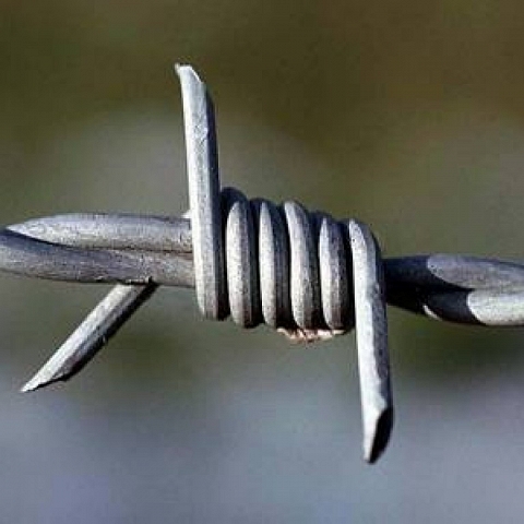 Barbed Wire