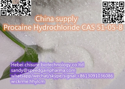 China supply Procaine CAS 59-46-1 /Procaine Hydrochloride CAS 51-05-8 ,whatsapp:+8613091036086