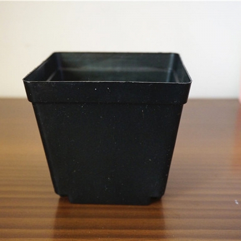 large plastic plant pots