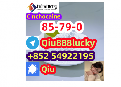 85-79-0 Cinchocaine