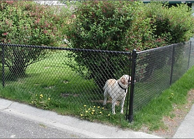 Chain Link Pet Mesh Panels For Dog Run Fencing And Dog Kennels