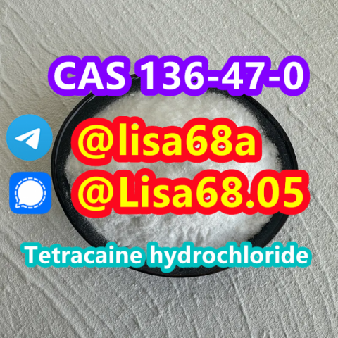 CAS 136-47-0 Tetracaine hydrochloride C15H25ClN2O2